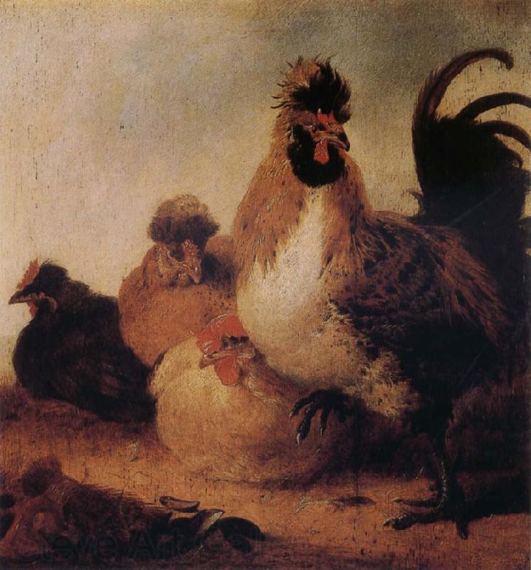 Aelbert Cuyp Rooster and Hens Norge oil painting art